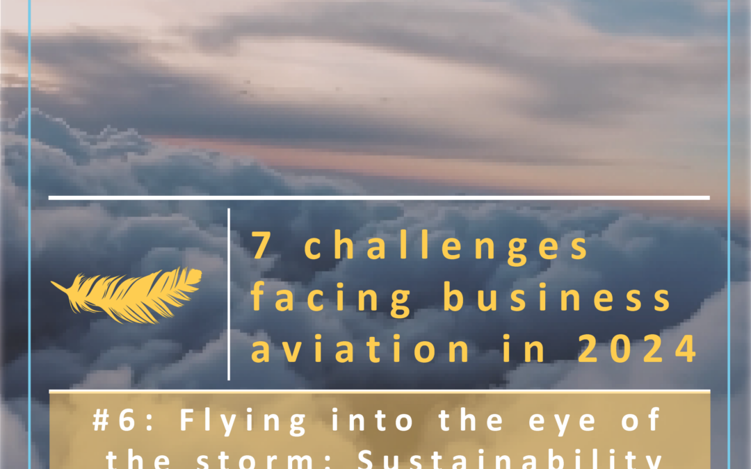 Challenge #6: Flying into the eye of the storm: Sustainability