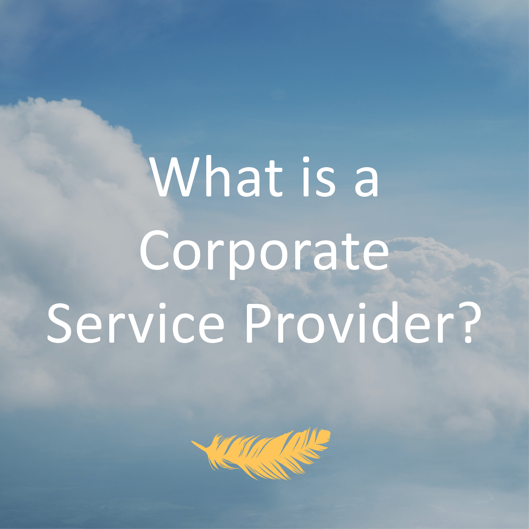What is a Corporate Service Provider?