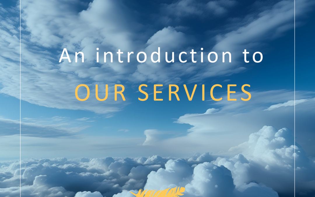 Discover Our Comprehensive Services