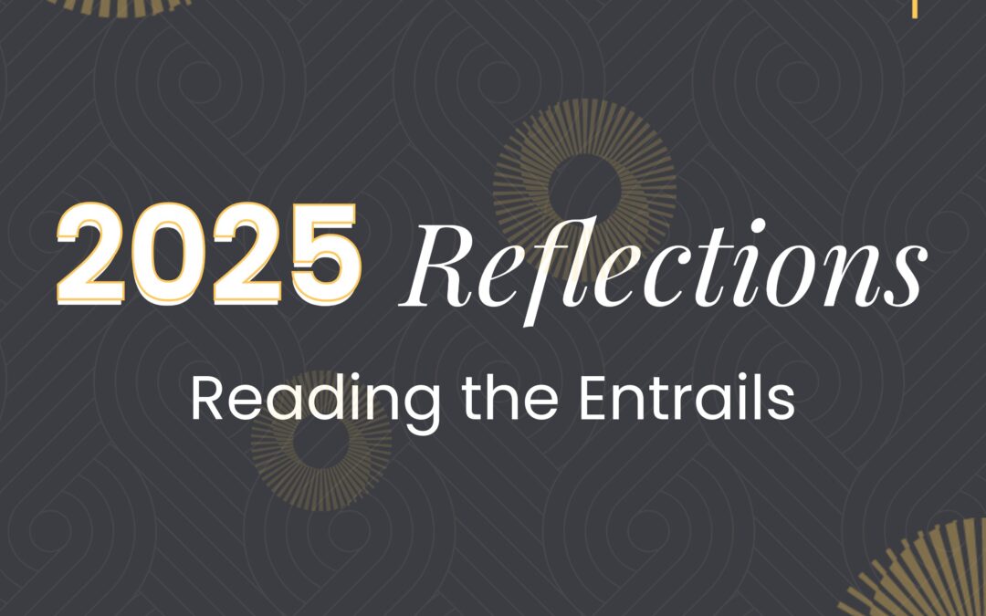 2025: A Year in Reflection: Reading the Entrails