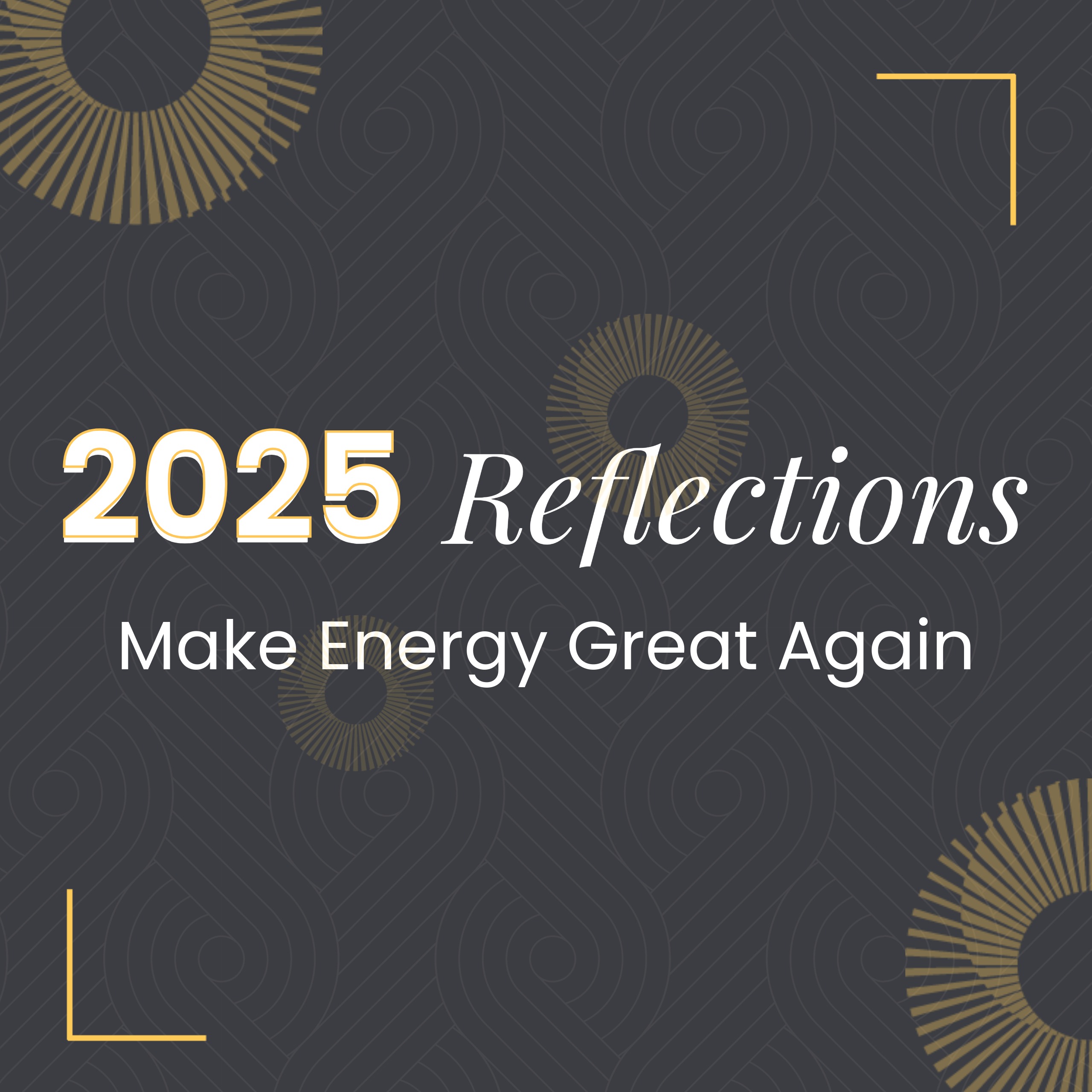 2025: A Year in Reflection: Make Energy Great Again