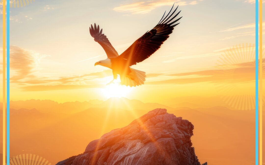 Soaring Higher